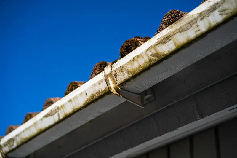 Verschmutzte Dachrinne mit Moos und Laub vor blauem Himmel